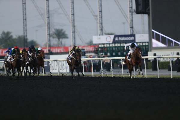 【速報版】4R　UAE Derbyの画像