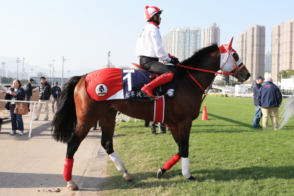 【速報版】4R UAE Derbyの画像
