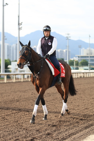 12.11（金）日本馬の様子の画像