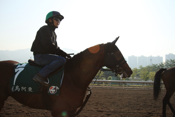 12.4　ロンジン香港国際競走・今朝の日本馬の画像