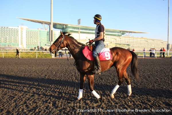 3.23 今日の日本馬の画像