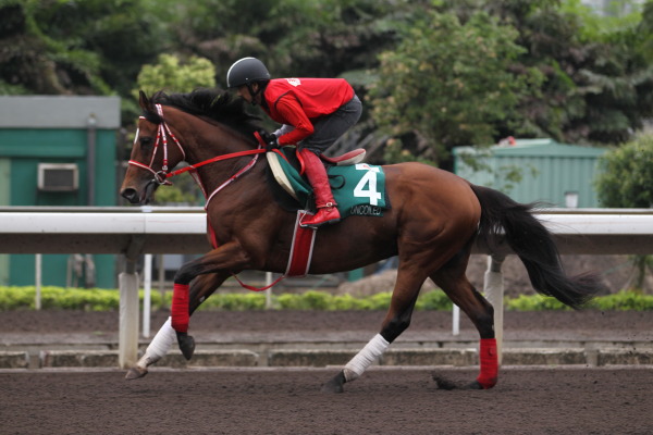 4.26　今朝の日本馬の画像