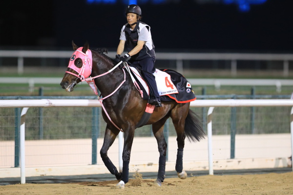 3.24　日本馬の様子の画像