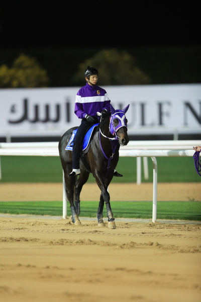 3.24　日本馬の様子の画像