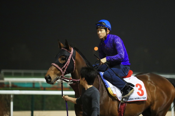 3.22　日本馬の様子の画像