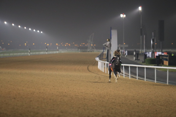 3.22　日本馬の様子の画像