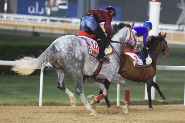 3.22　日本馬の様子の画像