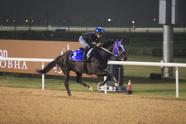 3.22　日本馬の様子の画像