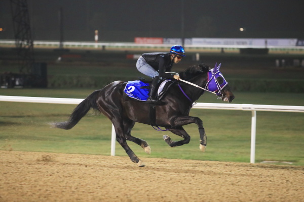 3.22　日本馬の様子の画像