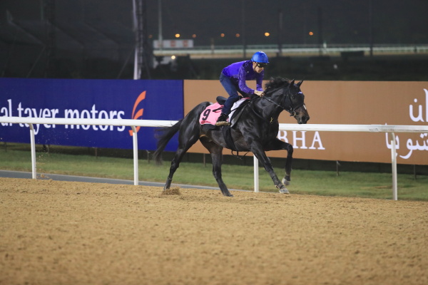 3.22　日本馬の様子の画像