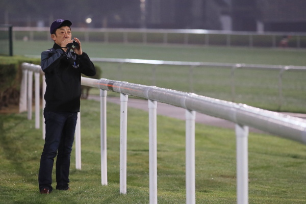 3.22　日本馬の様子の画像