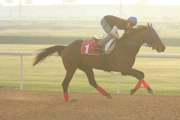 3.25 今朝の日本馬（UAEダービー）の画像