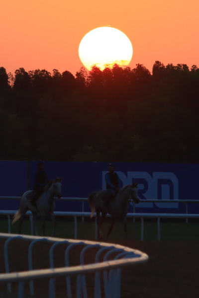 メイダン競馬場の画像