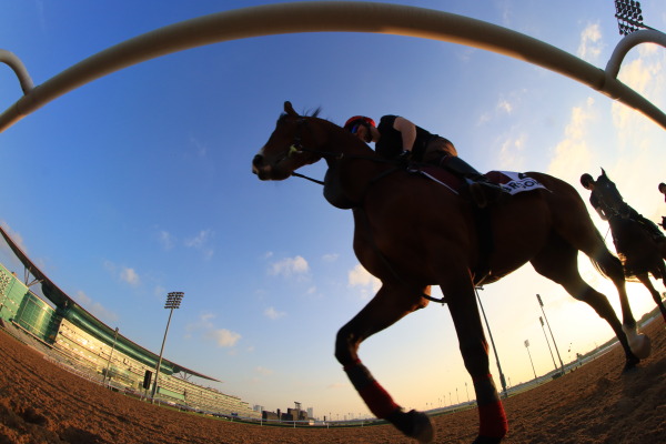 メイダン競馬場の画像