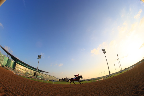 メイダン競馬場の画像