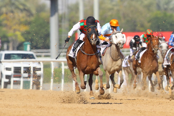 【速報版】1レース・ドバイカハイラクラシック（G1 ダート2000m）の画像