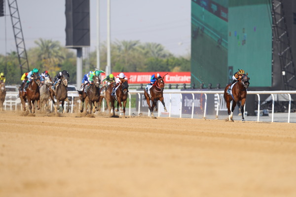 【速報版】2レース・ゴドルフィンマイル（G2 ダート1600m）の画像