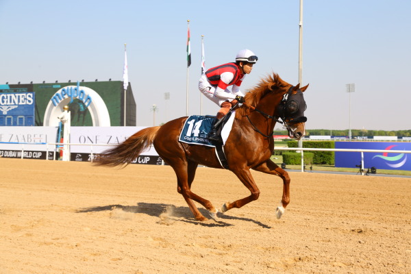 【速報版】2レース・ゴドルフィンマイル（G2 ダート1600m）の画像