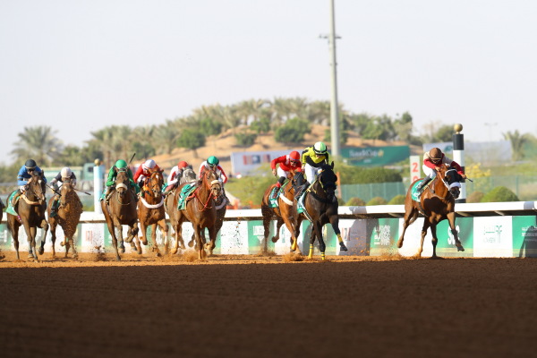 Inter National Jockeys Challengeの画像