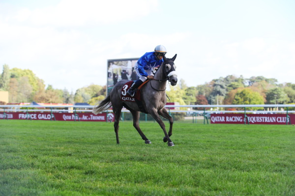 2R Arabian Trophy des Juments  アラビアントロフィー(芝2000m)の画像