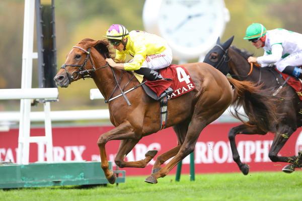 3R Prix Du Royallieu ロワイヤリュー賞(芝2800m G1)の画像