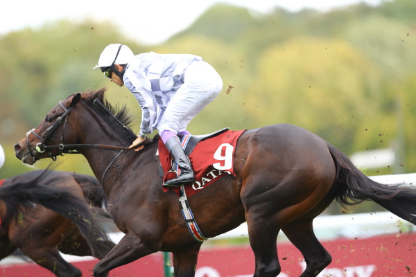 3R Prix Du Royallieu ロワイヤリュー賞(芝2800m G1)の画像