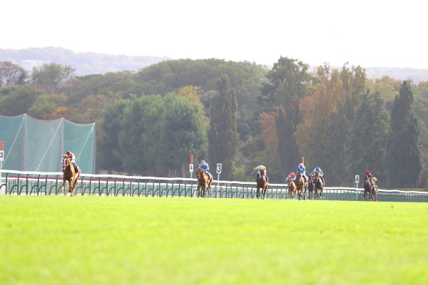 6R Prix Du Cadran カドラン賞(芝4000m G1)の画像