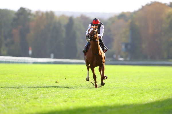 6R Prix Du Cadran カドラン賞(芝4000m G1)の画像