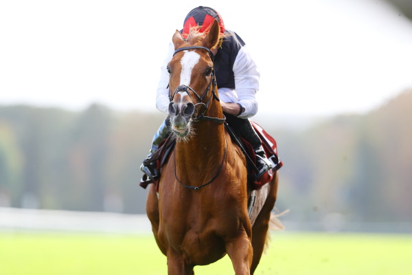 6R Prix Du Cadran カドラン賞(芝4000m G1)の画像