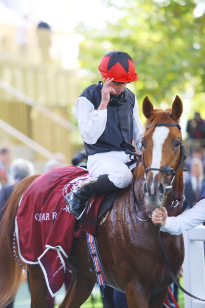 6R Prix Du Cadran カドラン賞(芝4000m G1)の画像