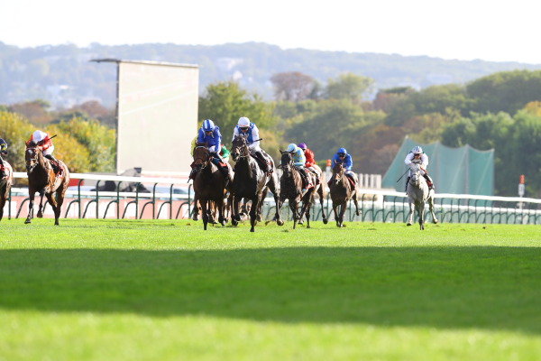 7R PRIX DOLLAR ドラール賞(芝1950m G2)の画像