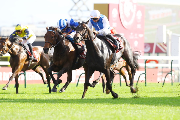 7R PRIX DOLLAR ドラール賞(芝1950m G2)の画像