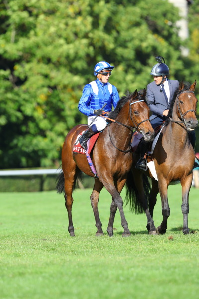 7R PRIX DOLLAR ドラール賞(芝1950m G2)の画像