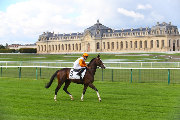 シャンティイ競馬場の画像