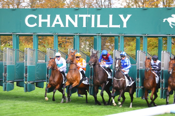 シャンティイ競馬場の画像