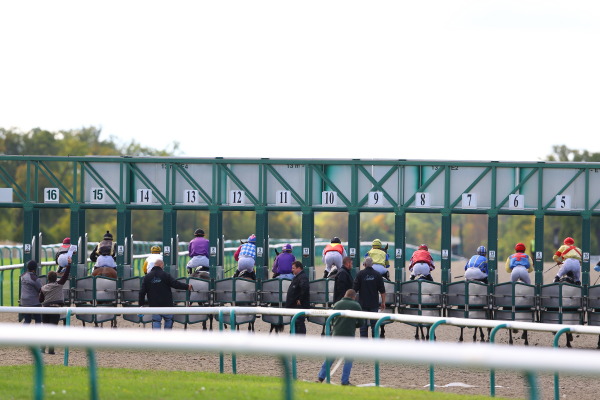 シャンティイ競馬場の画像