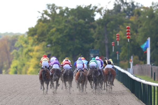 シャンティイ競馬場の画像