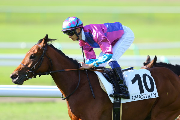 シャンティイ競馬場の画像