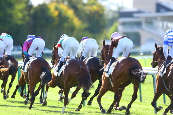 シャンティイ競馬場の画像