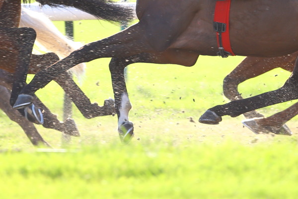 シャンティイ競馬場の画像