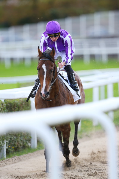 サンクルー競馬場の画像