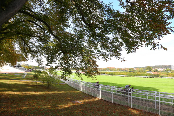 サンクルー競馬場の画像