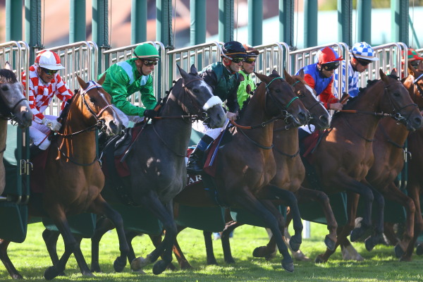 サンクルー競馬場の画像