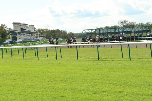 シャンティイ競馬場の画像