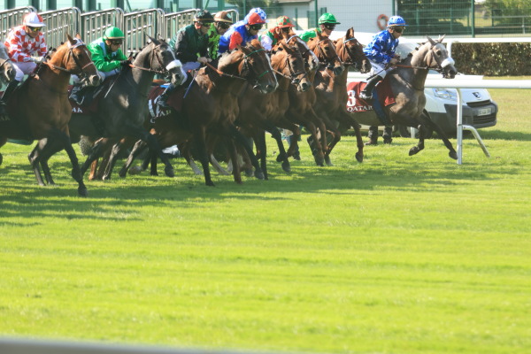 サンクルー競馬場の画像