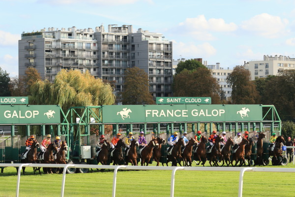 サンクルー競馬場の画像