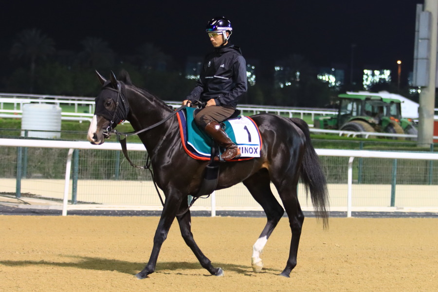 24日の日本馬（ドバイシーマクラシック組）の画像