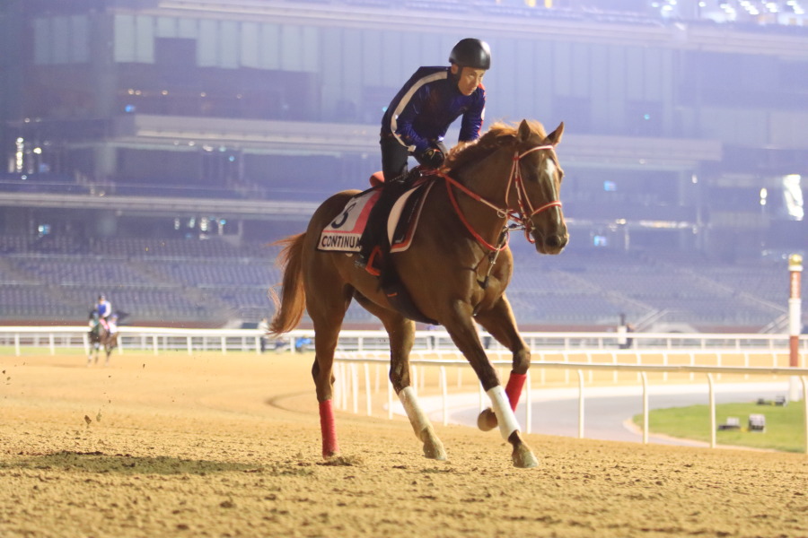 24日の日本馬（UAEダービー組）の画像