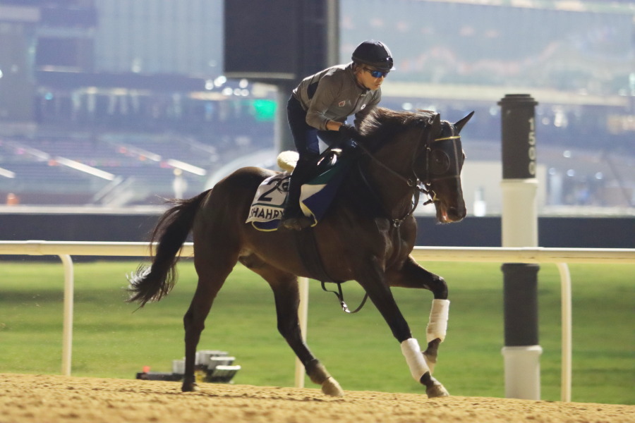 24日の日本馬（ドバイシーマクラシック組）の画像