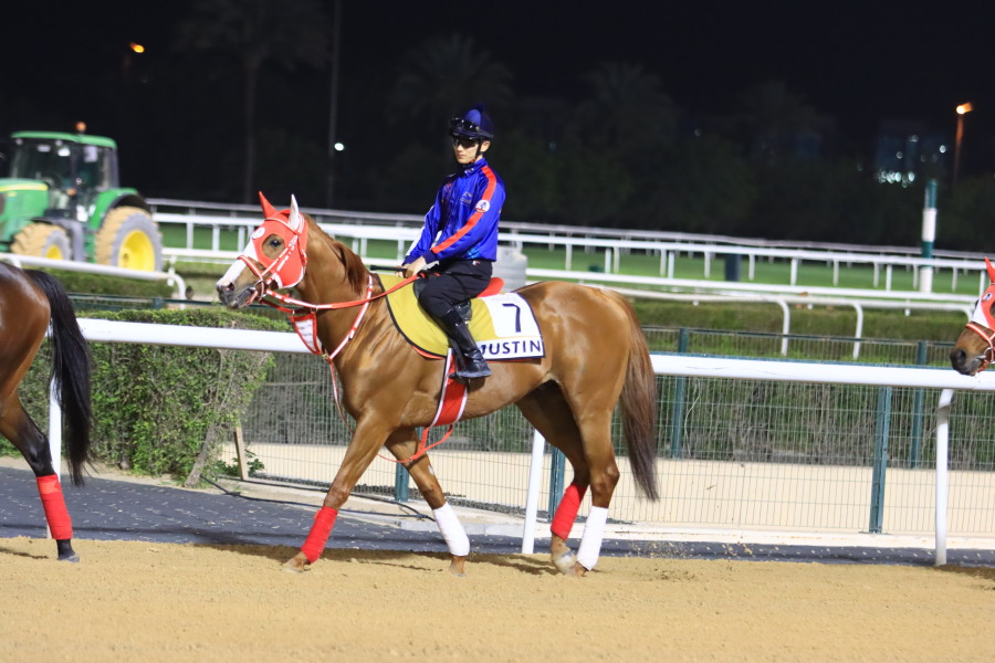 24日の日本馬（ドバイゴールデンシャヒーン組）の画像